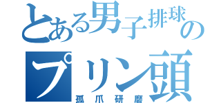 とある男子排球部のプリン頭（孤爪研磨）