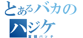 とあるバカのハジケ（首領パッチ）