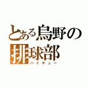 とある烏野の排球部（ハイキュー）