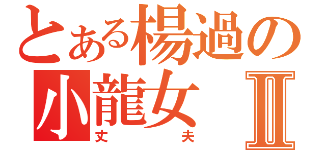 とある楊過の小龍女Ⅱ（丈夫）