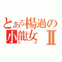 とある楊過の小龍女Ⅱ（丈夫）