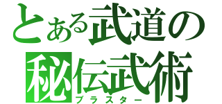 とある武道の秘伝武術（ブラスター）