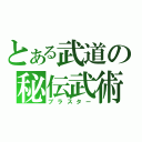 とある武道の秘伝武術（ブラスター）