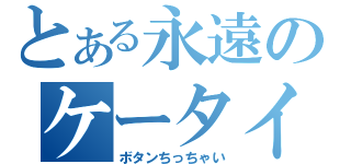 とある永遠のケータイ（ボタンちっちゃい）