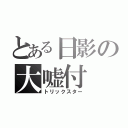 とある日影の大嘘付（トリックスター）