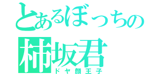 とあるぼっちの柿坂君（ドヤ顔王子）