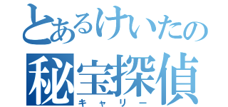 とあるけいたの秘宝探偵（キャリー）