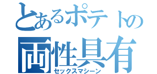 とあるポテトの両性具有（セックスマシーン）