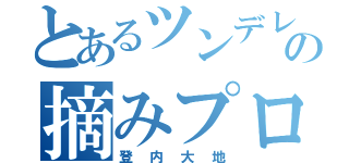 とあるツンデレの摘みプロ（登内大地）