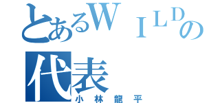 とあるＷＩＬＤの代表（小林龍平）