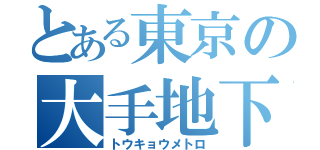 とある東京の大手地下鉄（トウキョウメトロ）