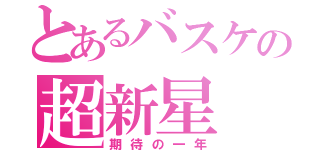 とあるバスケの超新星（期待の一年）