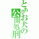 とあるお犬の公開処刑（）