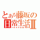 とある藤坂の日常生活Ⅱ（ハロオタ日記）