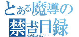 とある魔導の禁書目録（なのはさん♪€£）