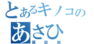 とあるキノコのあさひ（原田旭）