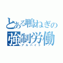 とある鴨ねぎの強制労働（アルバイト）