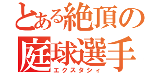 とある絶頂の庭球選手（エクスタシィ）