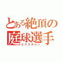 とある絶頂の庭球選手（エクスタシィ）