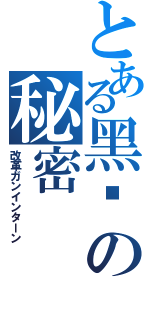 とある黑貓の秘密（改革ガンインターン）