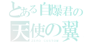 とある自爆君の天使の翼（ＺＥＲＯ ＣＵＳＴＯＷ）