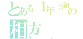 とある１年３組の相方（ちぃ）