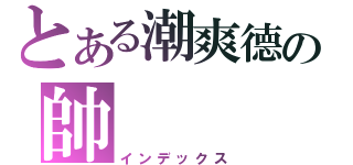 とある潮爽德の帥（インデックス）