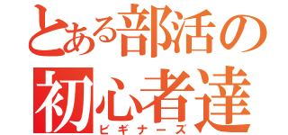 とある部活の初心者達（ビギナーズ）