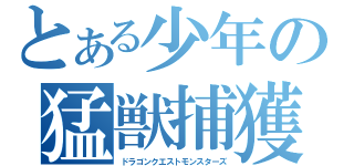 とある少年の猛獣捕獲（ドラゴンクエストモンスターズ）