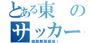 とある東のサッカー部（強靭無敵最強！）