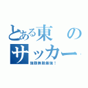 とある東のサッカー部（強靭無敵最強！）