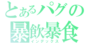 とあるパグの暴飲暴食（インデックス）