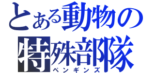 とある動物の特殊部隊（ペンギンズ）