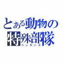 とある動物の特殊部隊（ペンギンズ）