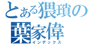 とある猥瑣の葉家偉（インデックス）