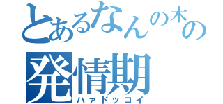 とあるなんの木の発情期（ハァドッコイ）