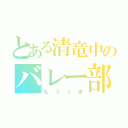 とある清竜中のバレー部（もう１本）