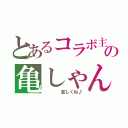 とあるコラボ主の亀しゃん（    宜しくね♪）