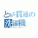 とある貫通の洗濯機（スクリュースロッシャー）