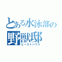 とある水泳部の野獣邸（ビーストハウス）