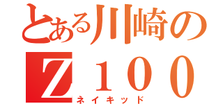 とある川崎のＺ１０００（ネイキッド）