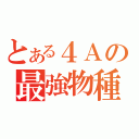 とある４Ａの最強物種（）