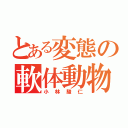 とある変態の軟体動物（小林駿仁）