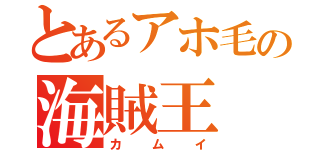 とあるアホ毛の海賊王（カムイ）