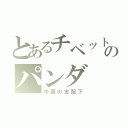 とあるチベットのパンダ（中国の支配下）