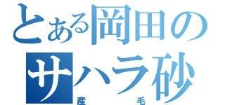 とある岡田のサハラ砂漠（産毛）