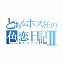 とあるホス狂の色恋日記Ⅱ（カケシバリ）