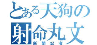 とある天狗の射命丸文（新聞記者）