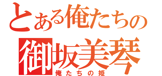 とある俺たちの御坂美琴（俺たちの姫）