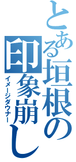 とある垣根の印象崩し（イメージダウナー）